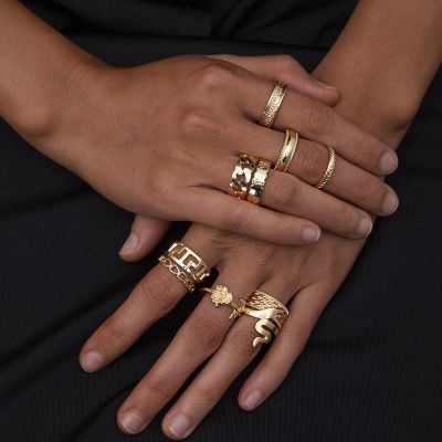 Punk Snake Rose Chunky Ring Hollow-Out Ring Set 10 PC